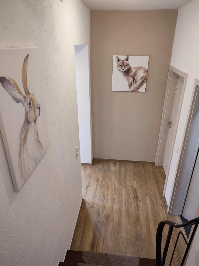 Fuchs & Hase Dahlem (Euskirchen)