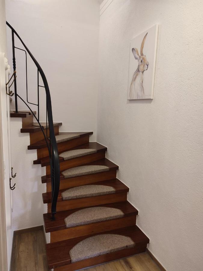 Fuchs & Hase Apartment Dahlem (Euskirchen)