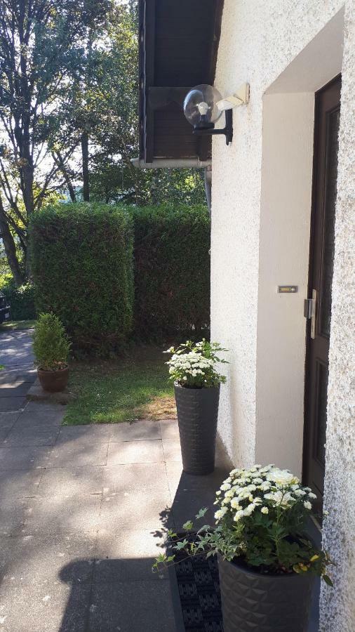 Fuchs & Hase * Dahlem (Euskirchen)